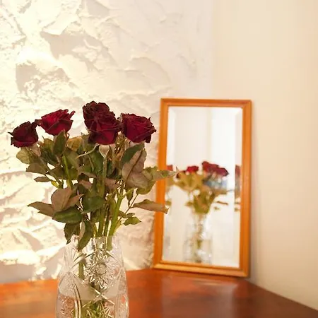 Liana-Luxury And Central Flat Budapest Room photo